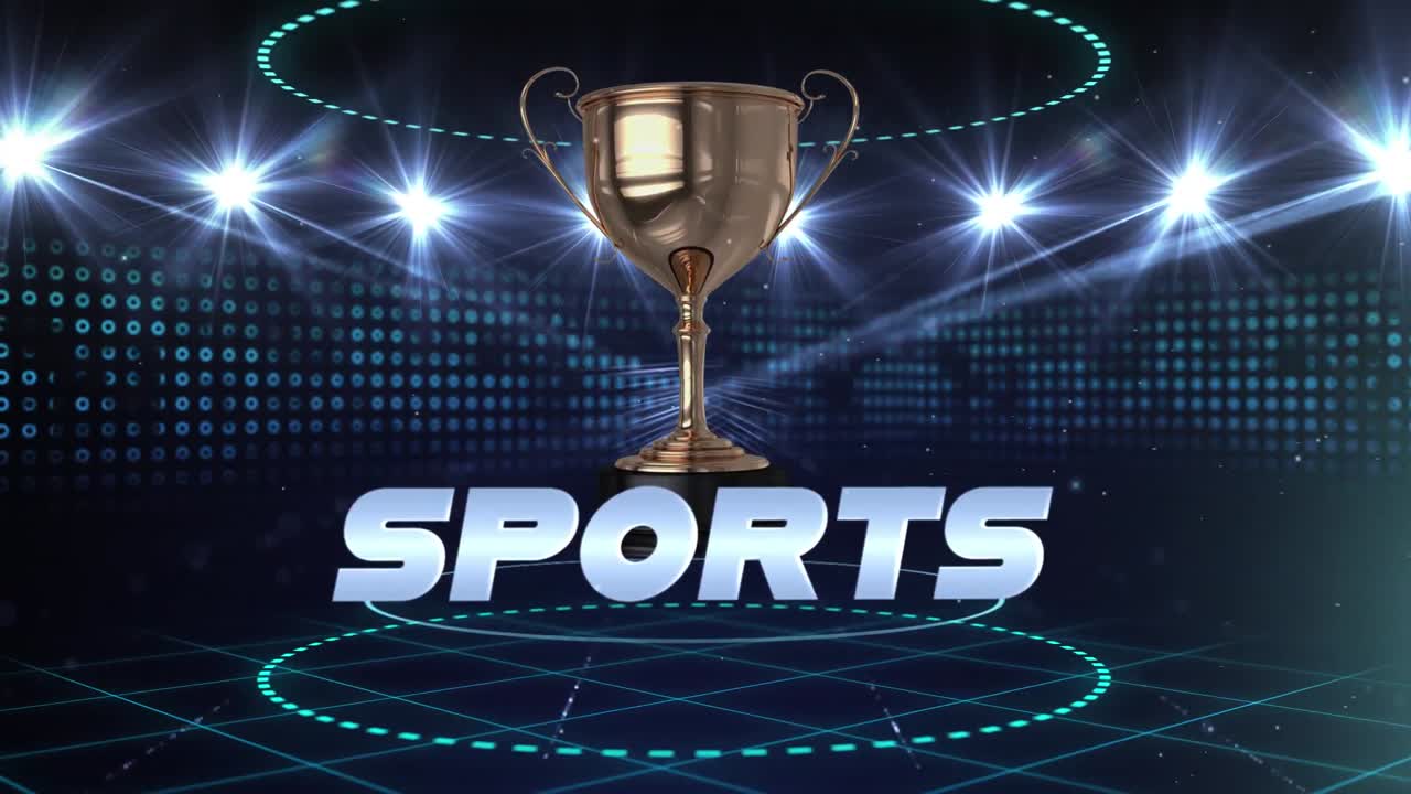 비디오 게임 스포츠 화면