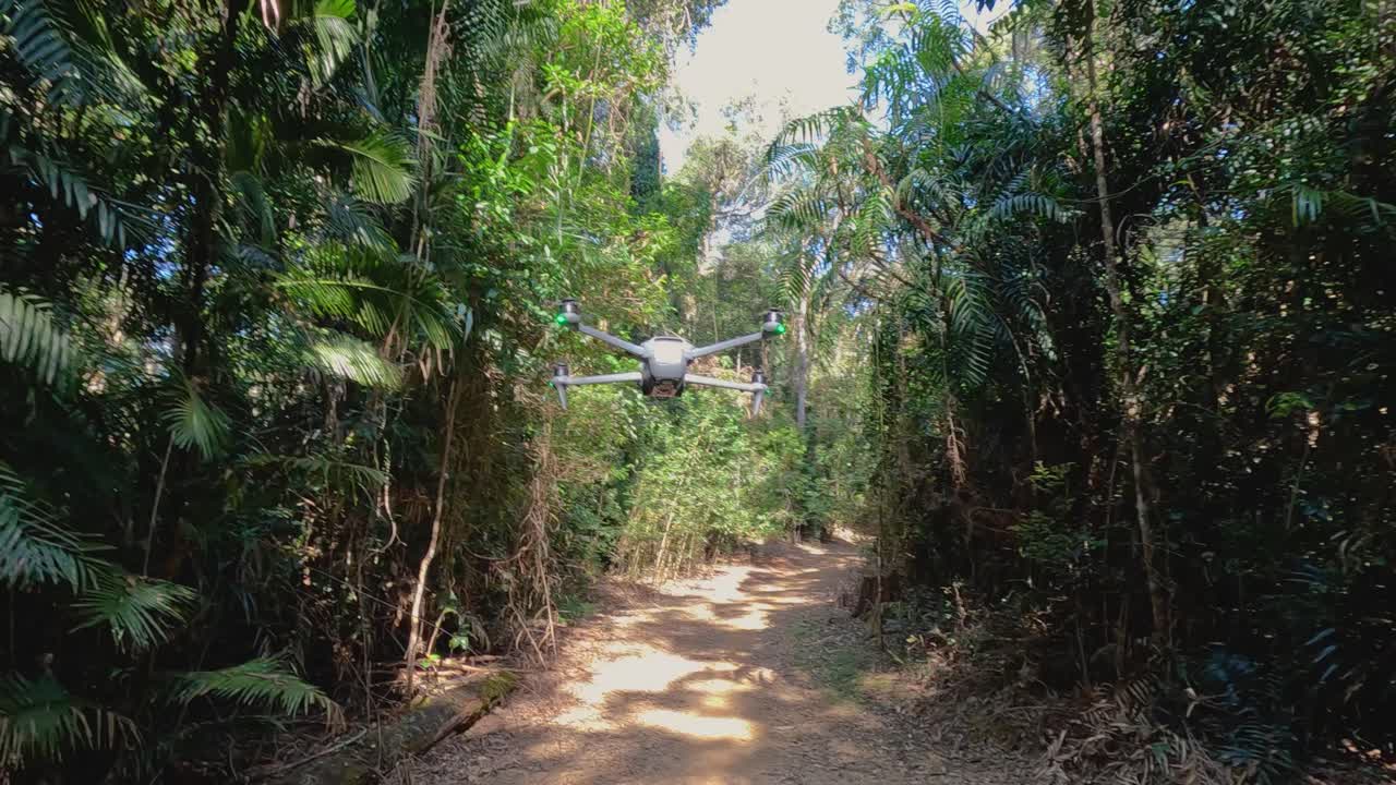 A drone descends through a sunlit rainforest pathway, surrounded by dense foliage in Port Douglas, Australia
