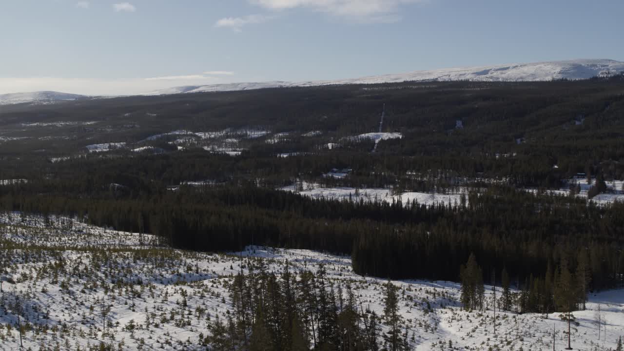 Ripresa aerea con drone di un paesaggio invernale nelle regioni settentrionali della Svezia sopra una foresta