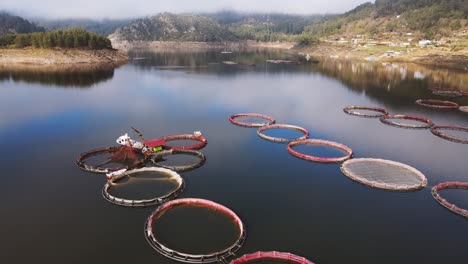 fish industry and trout fish farm with circle cages in mountain lake