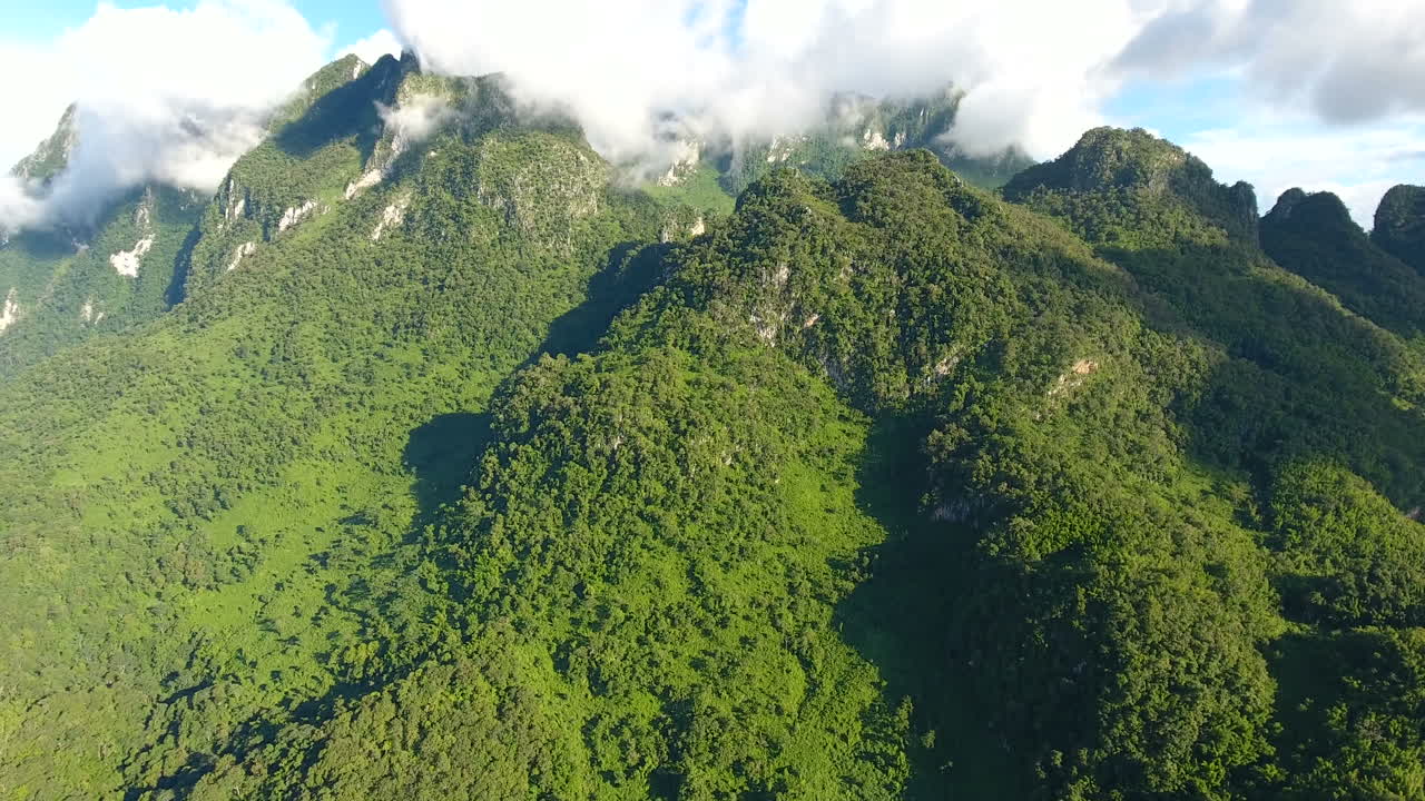 vista aérea de la montaña y el bosque.