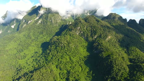 aerial view of mountain and forest.