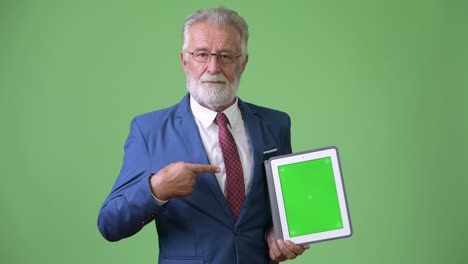 handsome senior bearded businessman against green background