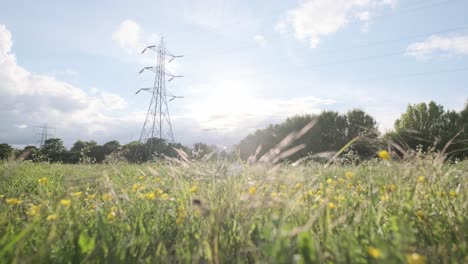 Tiro-Deslizante-De-Líneas-Eléctricas-Pilón-Eléctrico-En-Un-Día-Soleado-Campo-Verde-Con-Ranúnculos