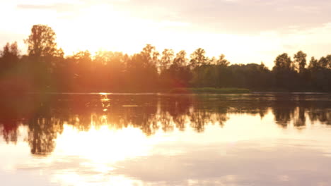 golden sunset light over mosquito invested dal river in dalarna, sweden. aerial