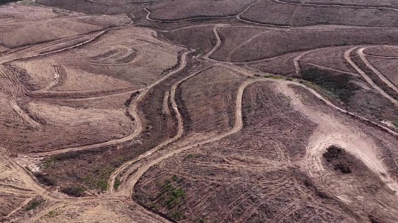 Veduta aerea di deforestazione forestale su larga scala e distruzione ambientale