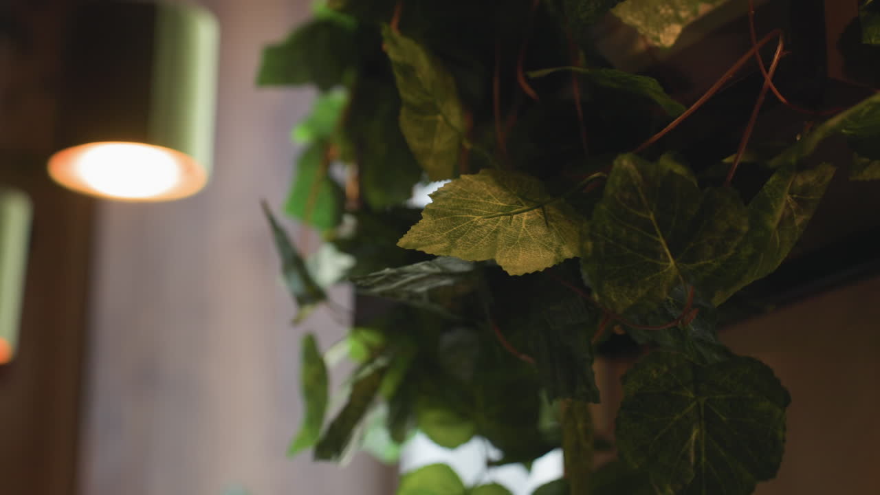 lush green artificial leaves drape beside glowing blurred pendant lights in warm indoor setting, creating peaceful atmosphere with natural tones and soft lighting for relaxation