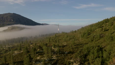 signs of human influence in nature along sjodals lake, jotunheim, norway