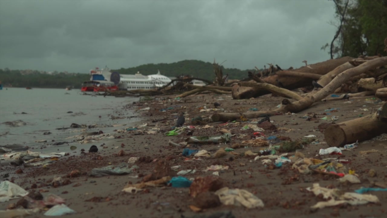 Polluted beach covered in plastic litter and debris, endangered marine wildlife and birds in India.