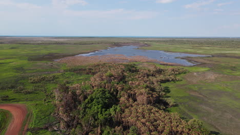 high moving drone shot of green swamp and blue water near holmes jungle nature park, darwin, northern territory