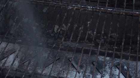 cleaner being sprayed on dirty barbecue rosters in slow motion