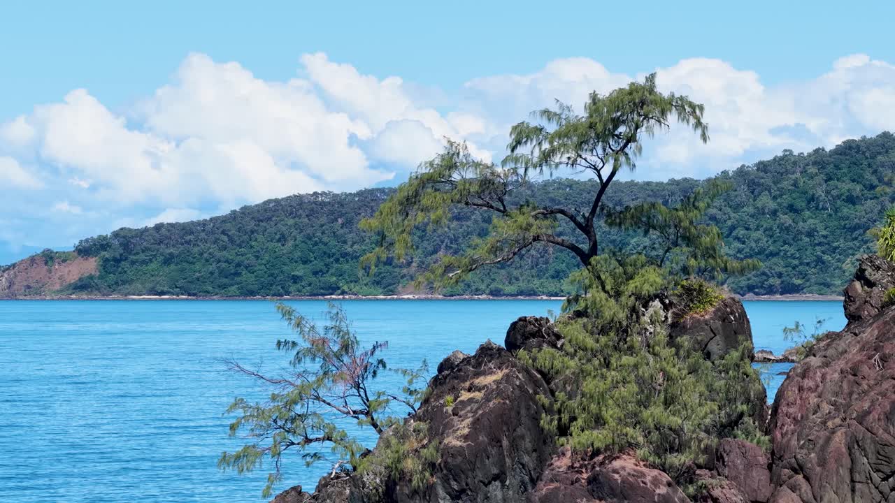 Drone footage captures a vibrant coastal landscape with rocky cliffs and lush greenery under clear blue skies