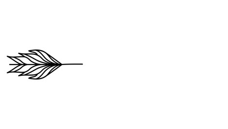 ilustración animada. letras continuas de una línea amor (amor en español) en forma de flecha. estilo minimalista dibujado a mano. video 4k