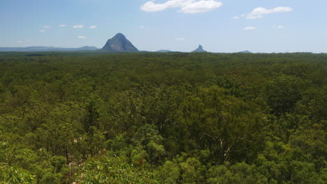 australian forest trees pan to reveal glasshouse mountains aerial drone, 4k