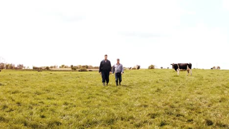 cattle farmer walking with a man