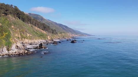 aerial drone shot of the pacific coast near big sur, california with birds flying