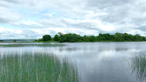 Irland:-Epische-Orte:-Drohne-Fliegt-über-Schilf-Am-Shannon-Fluss-Zur-Holy-Island-An-Einem-Sommermorgen