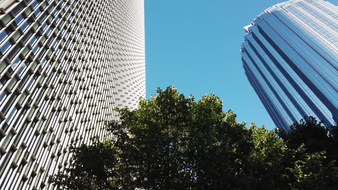 Vista de baixo ângulo de dois edifícios de vidro modernos e uma árvore verde no centro