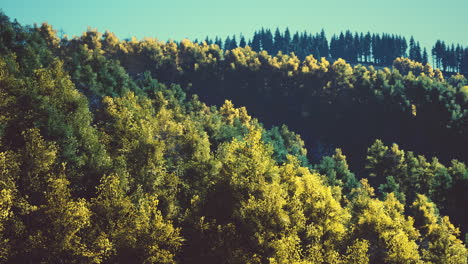 Atemberaubende-Landschaft-Im-Herbst-Für-September