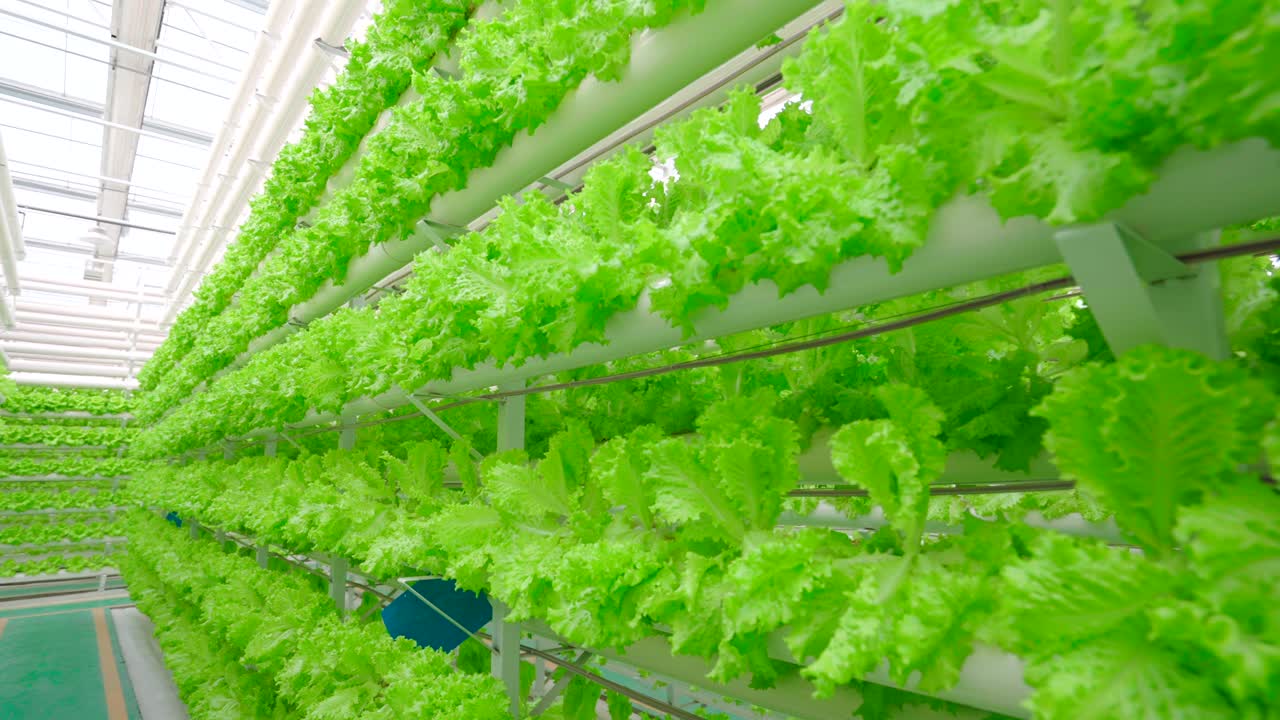 Science and technology agriculture in Greenhouse