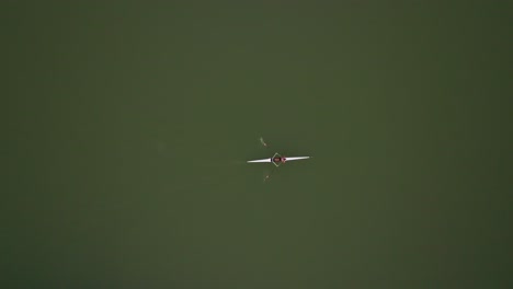 Aerial-top-down-shot-of-a-rower-practicing-in-a-lake-in-Mendoza,-Argentina