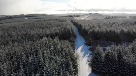 pedestal aerial shot with a view towards bellever tor and forrest on a snowy winters day on dartmoor devon england uk