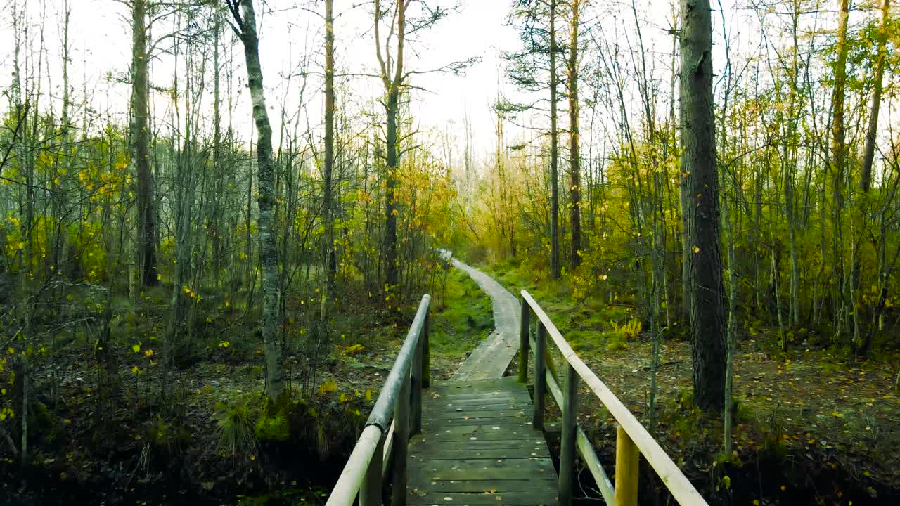 Aerial drone footage gliding and flying over a wooden boardwalk and a wooden bridge that is going across a reflective cold and dark colored small river or a water stream during autumn sunny day