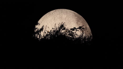 Mond-Nahaufnahme,-Aufgenommen-Mit-Sich-Bewegenden-Baumkronen.-Nahaufnahme-Zoomansicht-Mit-Allen-Details-Der-Mondlandschaft-Mit-Lunalon,-Aufgenommen-In-4k-Auflösung