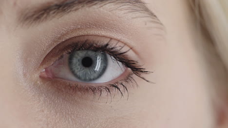 cerca hermoso ojo azul mirando a la cámara el reflejo del iris belleza humana natural