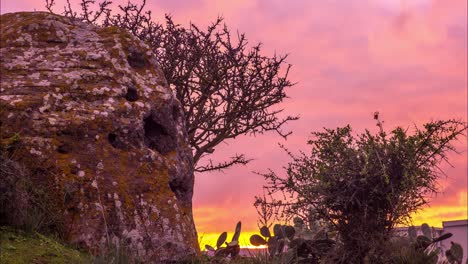 Timelapse-De-La-Hermosa-Puesta-De-Sol-Rosa-Amarilla-Con-Vegetación-Sarda,-Italia