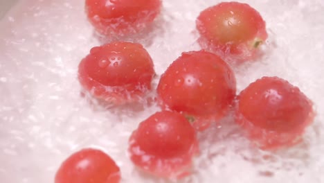 Tomates-Pequeños-De-Fondo-Blanco,-Desinfectados-En-Agua