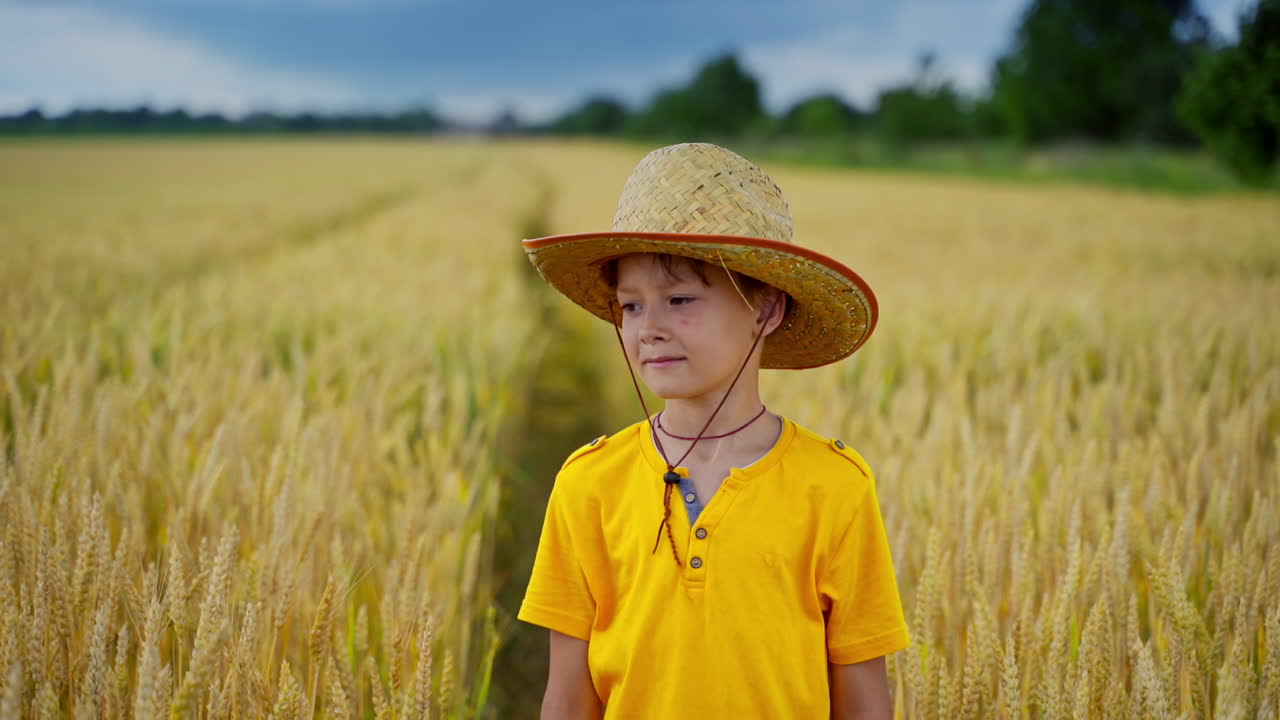 Boy in straw hat outdoors. Portrait of a little farmer on yellow field background. Cheerful kid stands among agricultural plants.