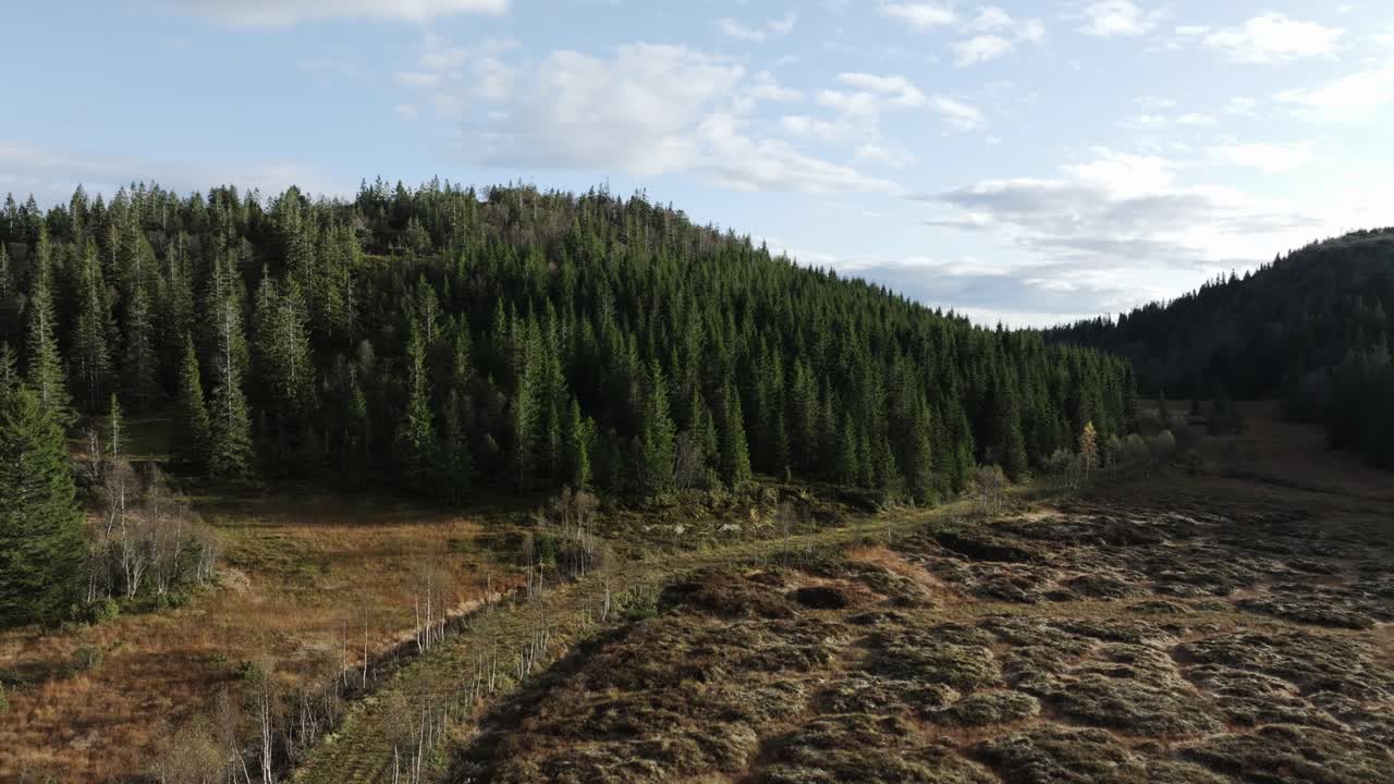 Vandringsleder genom berg med täta granar.