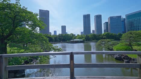 Beautiful-Japanese-traditional-garden-and-pond-with-skyscrapers-Tokyo