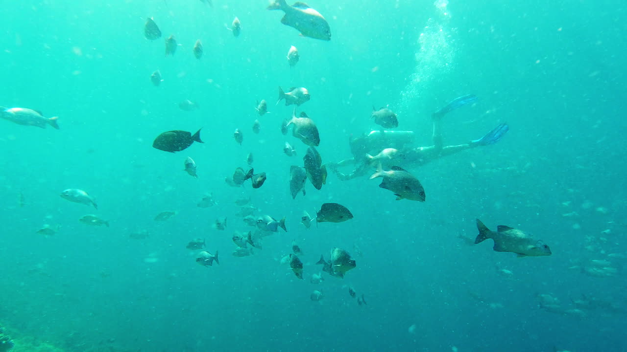 스쿠버 다이빙, 수중 수영 및 물고기 수영