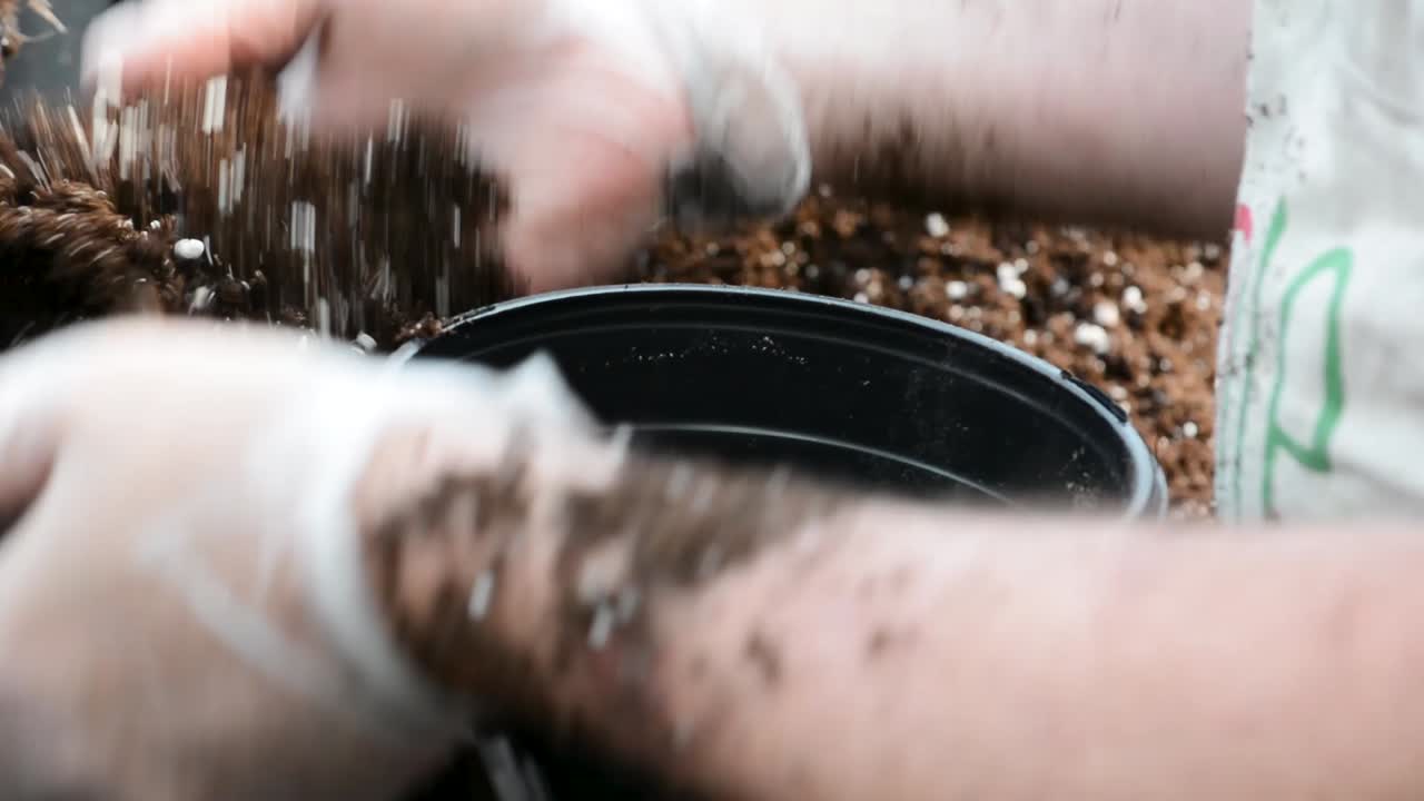 고무장갑을 끼고 화분에 흙을 화분에 담는다.