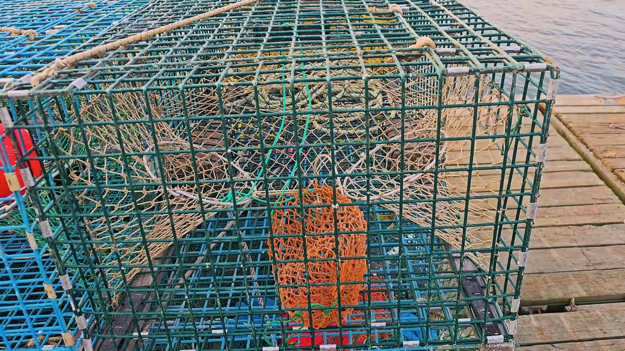 Detailed view of stacked lobster pots with bright blue grids, green bait bags, rope lines, and red float, showing coastal seafood work and maritime gear at golden hour.