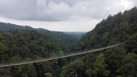 aerial view fly over the suspension bridge and forest in sukabumi situgunung