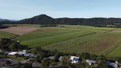 4k aerial view of part of a rural town and a large sugarcane plantation with mountains in the background in australia