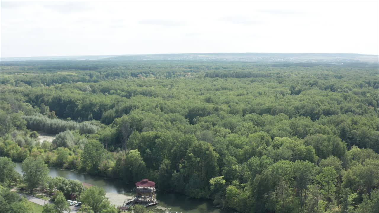 숲의 원활한 패턴 - 위에서 볼 수 있는 모습. 여름 공원의 위에서 볼 수있는 모습