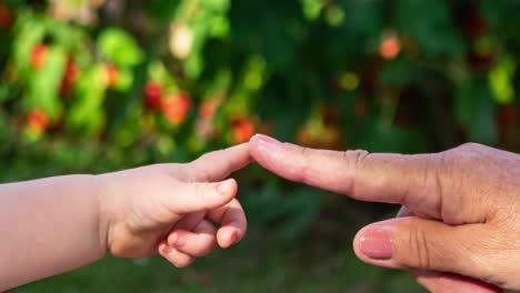 Vergrößern-Sie-Junge-Und-Alte-Finger