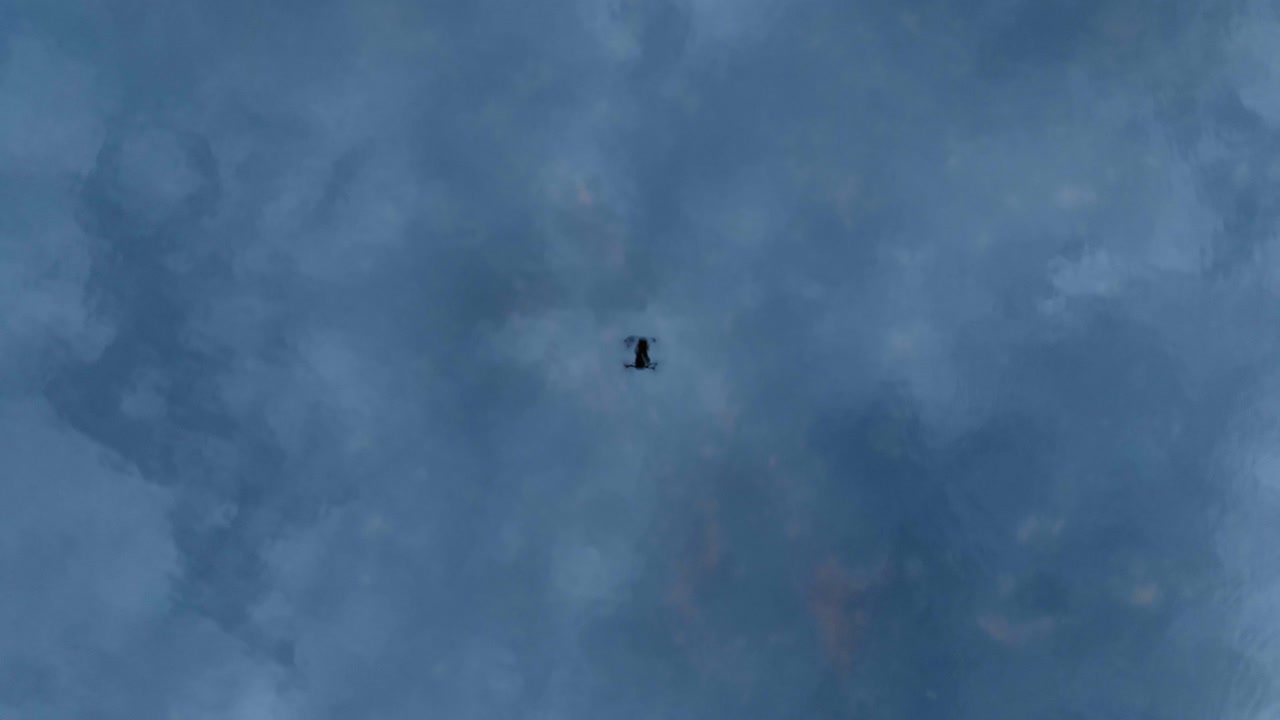 호수 표면에 비행 드론의 반사