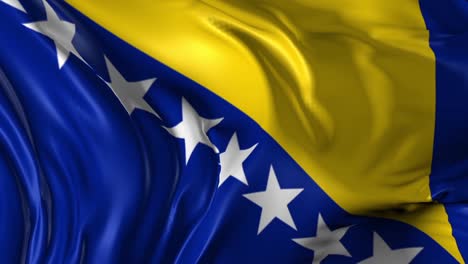 bosnian flag