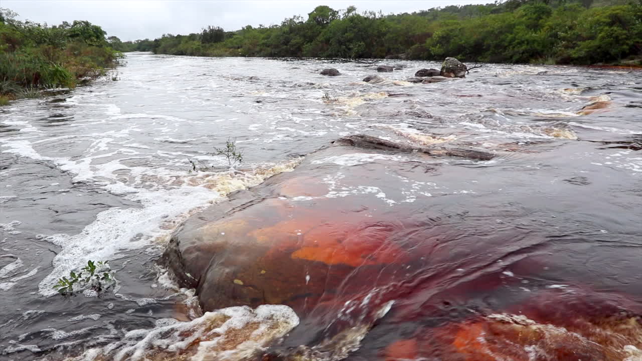 모래, 모래암, 흐린 열대 강 초원