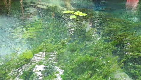 serene kayak journey in krabi's clear waters