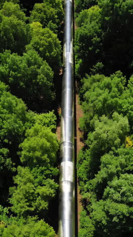 pipeline in a forest
