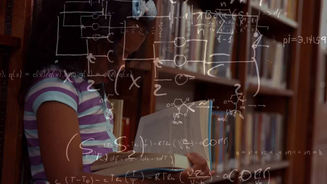 animación de ecuaciones, conexiones y procesamiento de datos sobre la lectura de las escolares