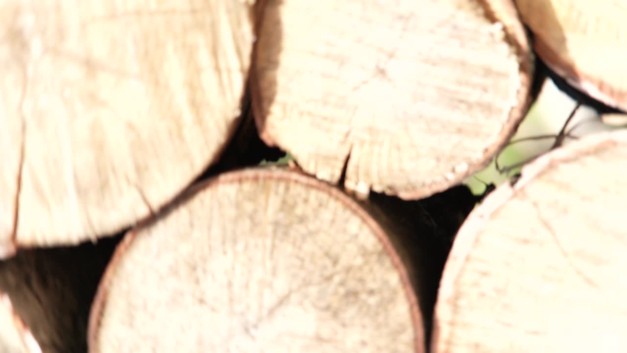 pilas de madera juntas. almacenamiento de madera. leña cortada troncos de árboles apilados preparados. movimiento circular de la cámara