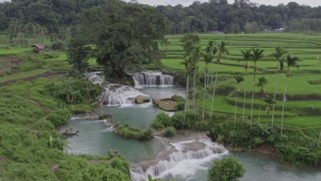 wide shot of the waikelo sawah waterfall at sumba indonesia, aerial