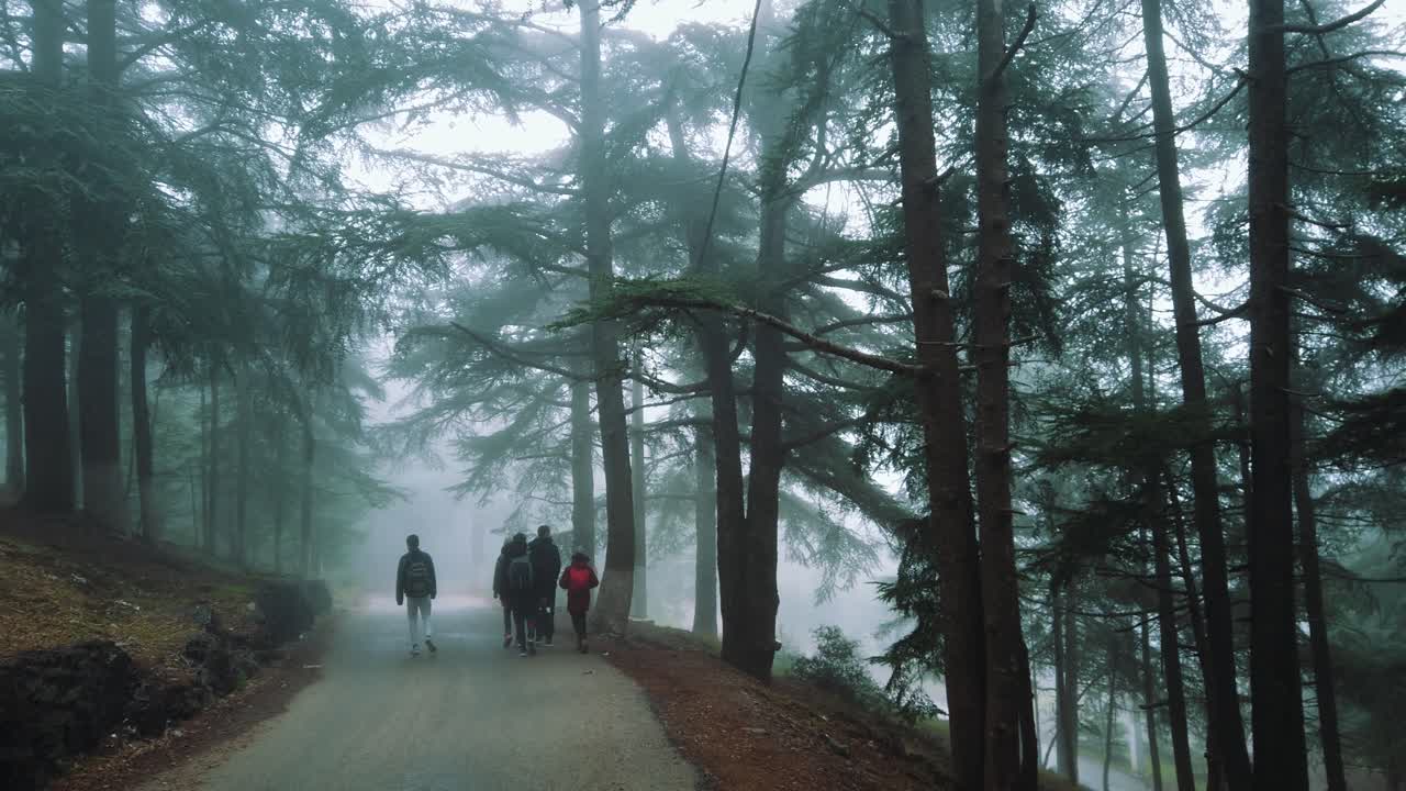 숲 속을 걷는 사람들, 아스팔트 도로, 안개 낀 날씨, 크레아 국립공원 - 알제리